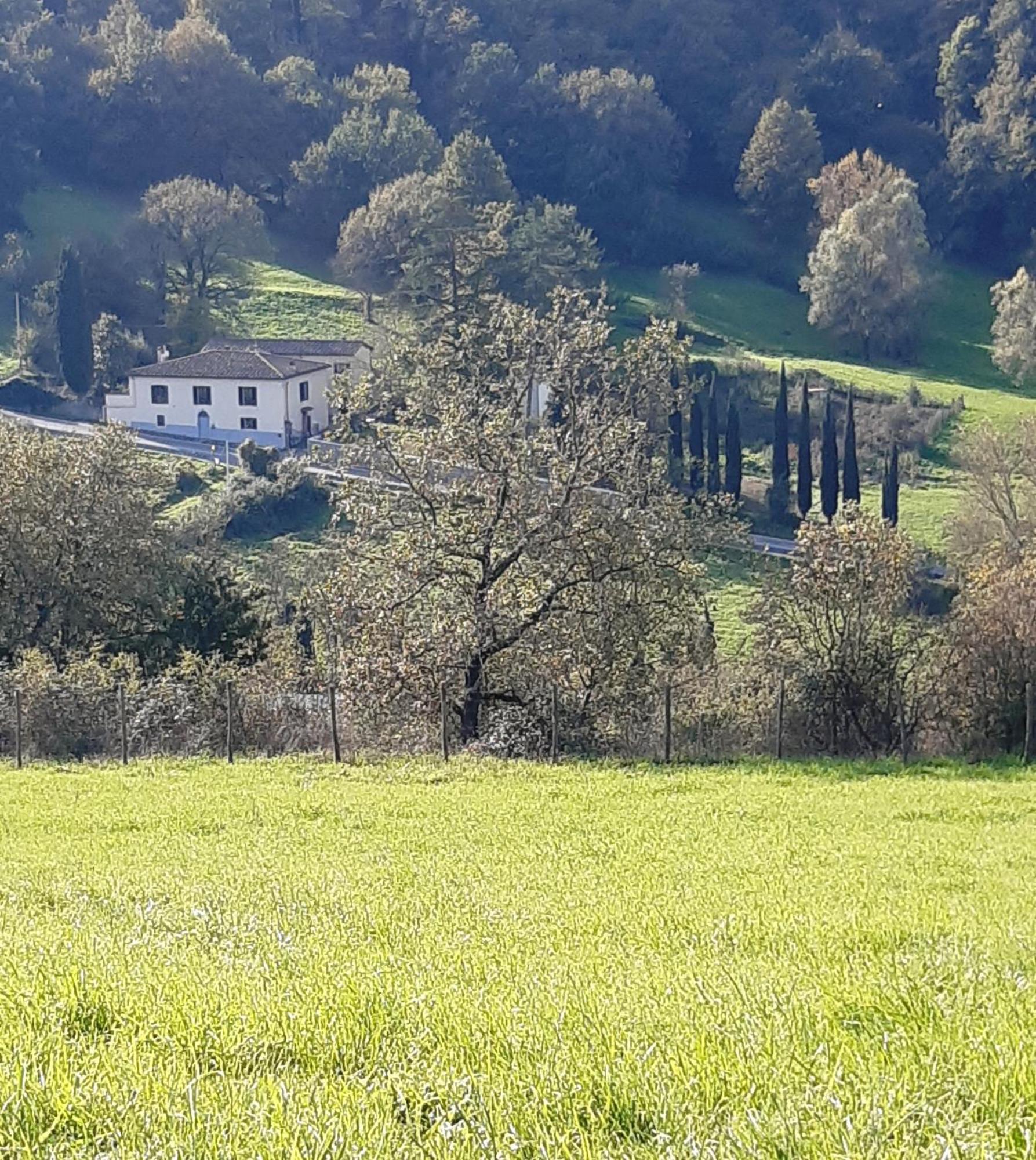 쁘라똘리노 Casa Al Miglio 빌라 외부 사진
